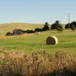 Sulla strada verso Philip Island